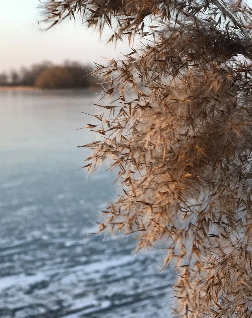 Winterhochzeit auf Gut Wendgräben